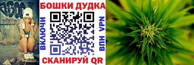 Канабис планчик  Шахунья 